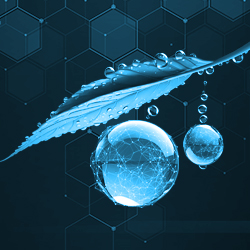 TDWI Data Ecosystems Maturity Model Assessment