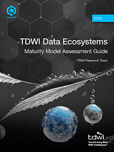 TDWI Data Ecosystems Assessment Guide