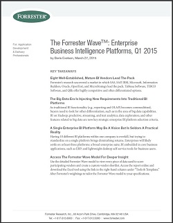 OpenText Whitepaper cover BI Platforms