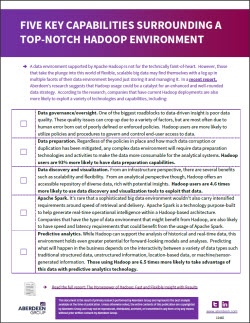 IBM white paper Five Key Capabilities thumb