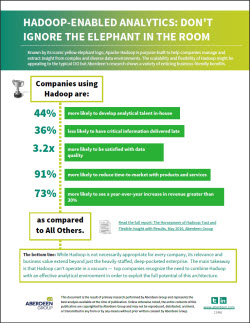 IBM white paper Hadoop Enabled Analytics thumb