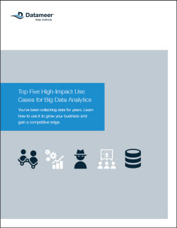 Datameer WP Top Five Use Cases thumbnail
