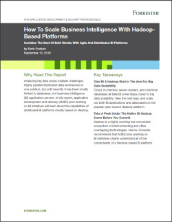 Arcadia WP How to Scale BI cover