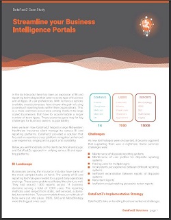 DataFactZ white paper cover image