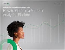 Qlik white paper cover